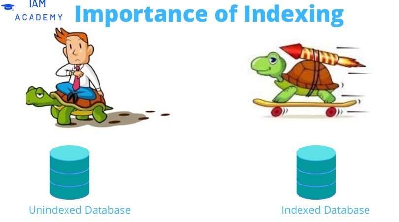 Database İndex